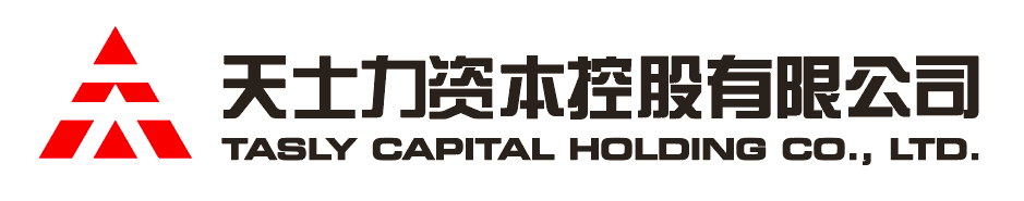 玖鼎资本控股有限公司